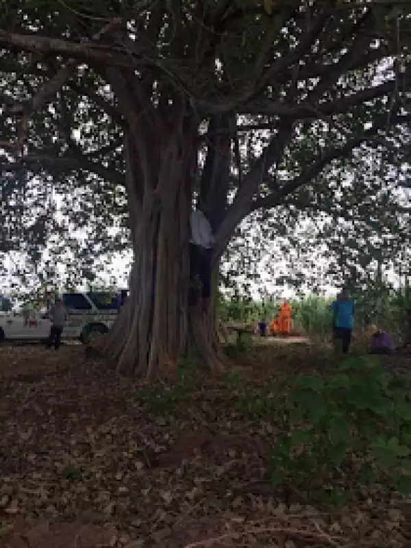 Man found hanging from tree, suicide note recovered